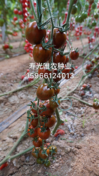 戳我试试 戳我试试