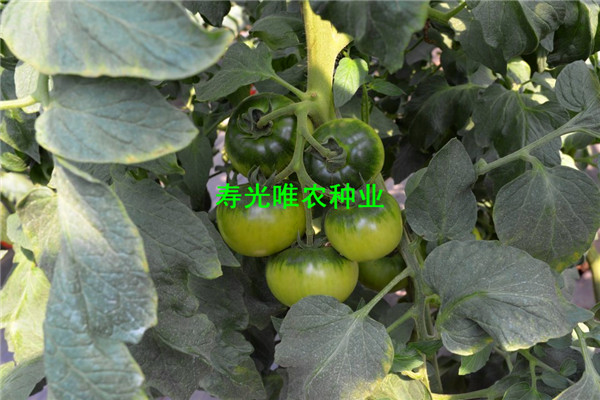 戳我试试 戳我试试