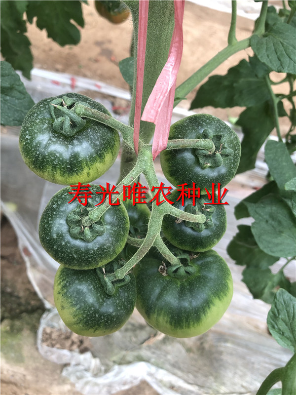 戳我试试