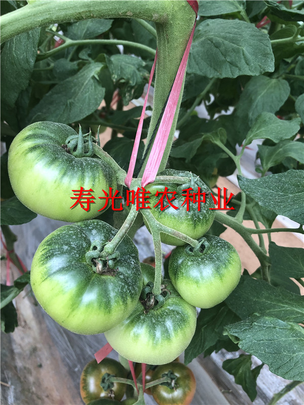 戳我试试