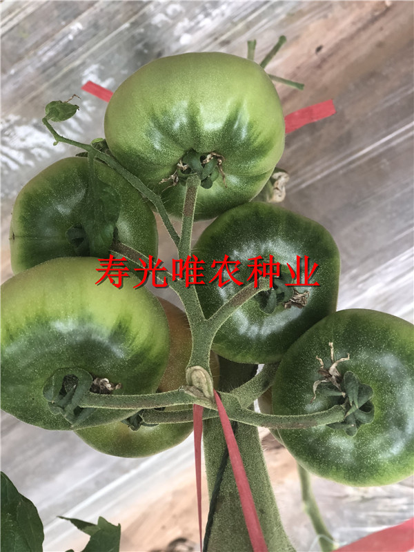 戳我试试