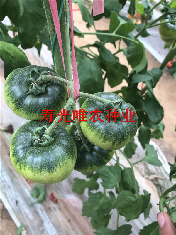 戳我试试