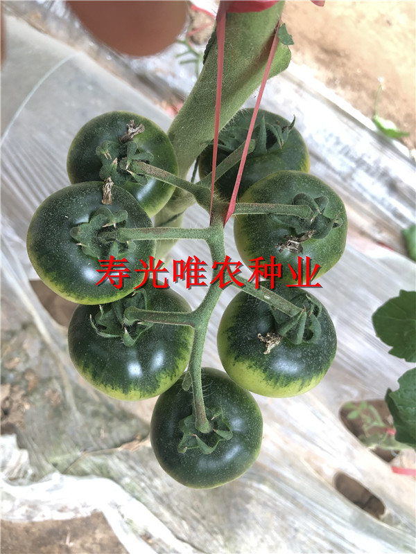 戳我试试